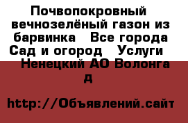 Почвопокровный, вечнозелёный газон из барвинка - Все города Сад и огород » Услуги   . Ненецкий АО,Волонга д.